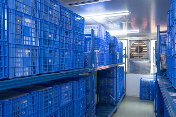 Le CE adapté aux besoins du client a marqué 12mm Hasson jetable Trocar pour la chirurgie Laparoscopic 7