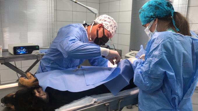 Système ultrasonique Hemostasis de scalpel de chirurgie de Laparoscope pour l'usage vétérinaire 7